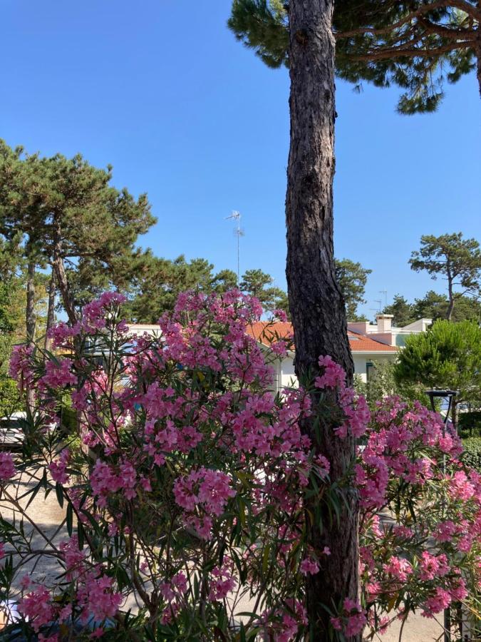 Villa Vittoria Lignano Sabbiadoro Eksteriør bilde